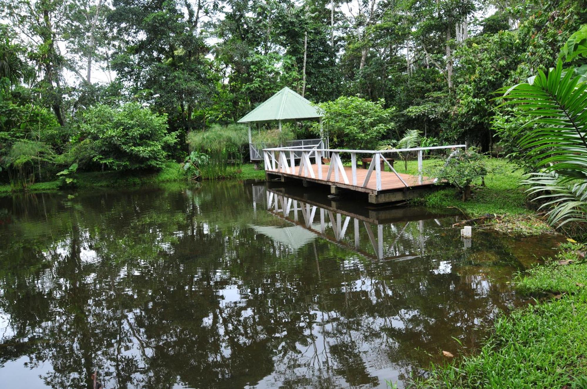Terra Luna Lodge Тена Экстерьер фото